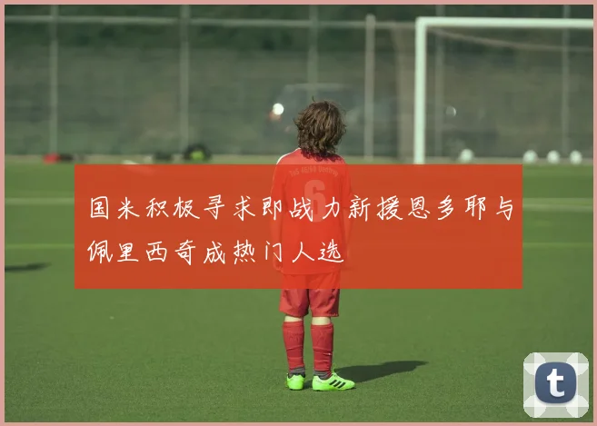国米积极寻求即战力新援恩多耶与佩里西奇成热门人选
