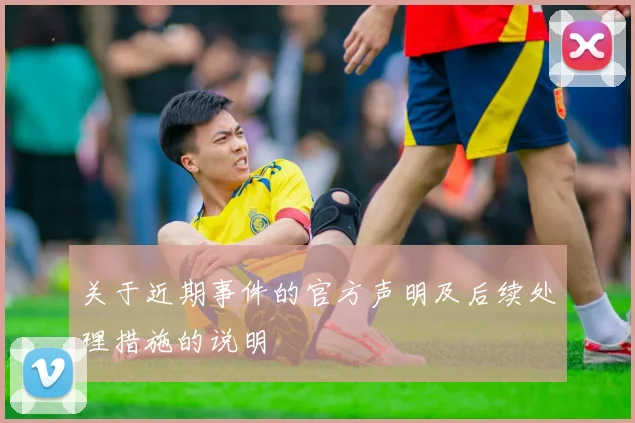关于近期事件的官方声明及后续处理措施的说明