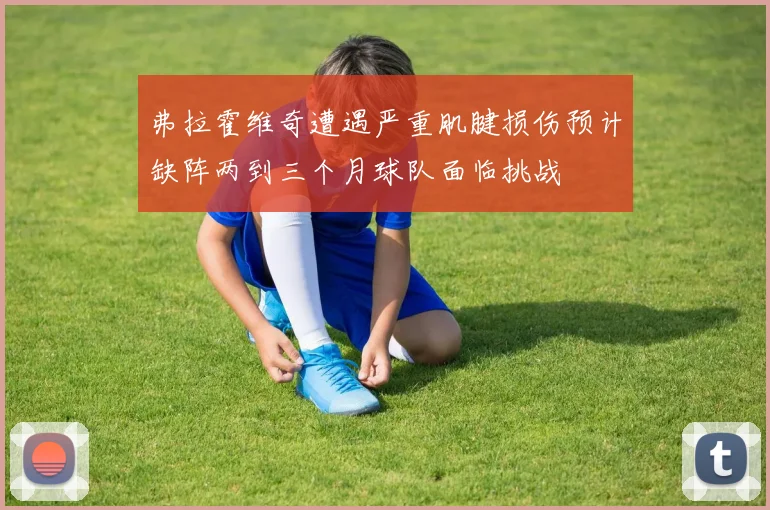 弗拉霍维奇遭遇严重肌腱损伤预计缺阵两到三个月球队面临挑战