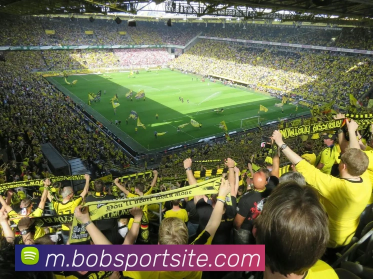 BOB体育APP 封面图